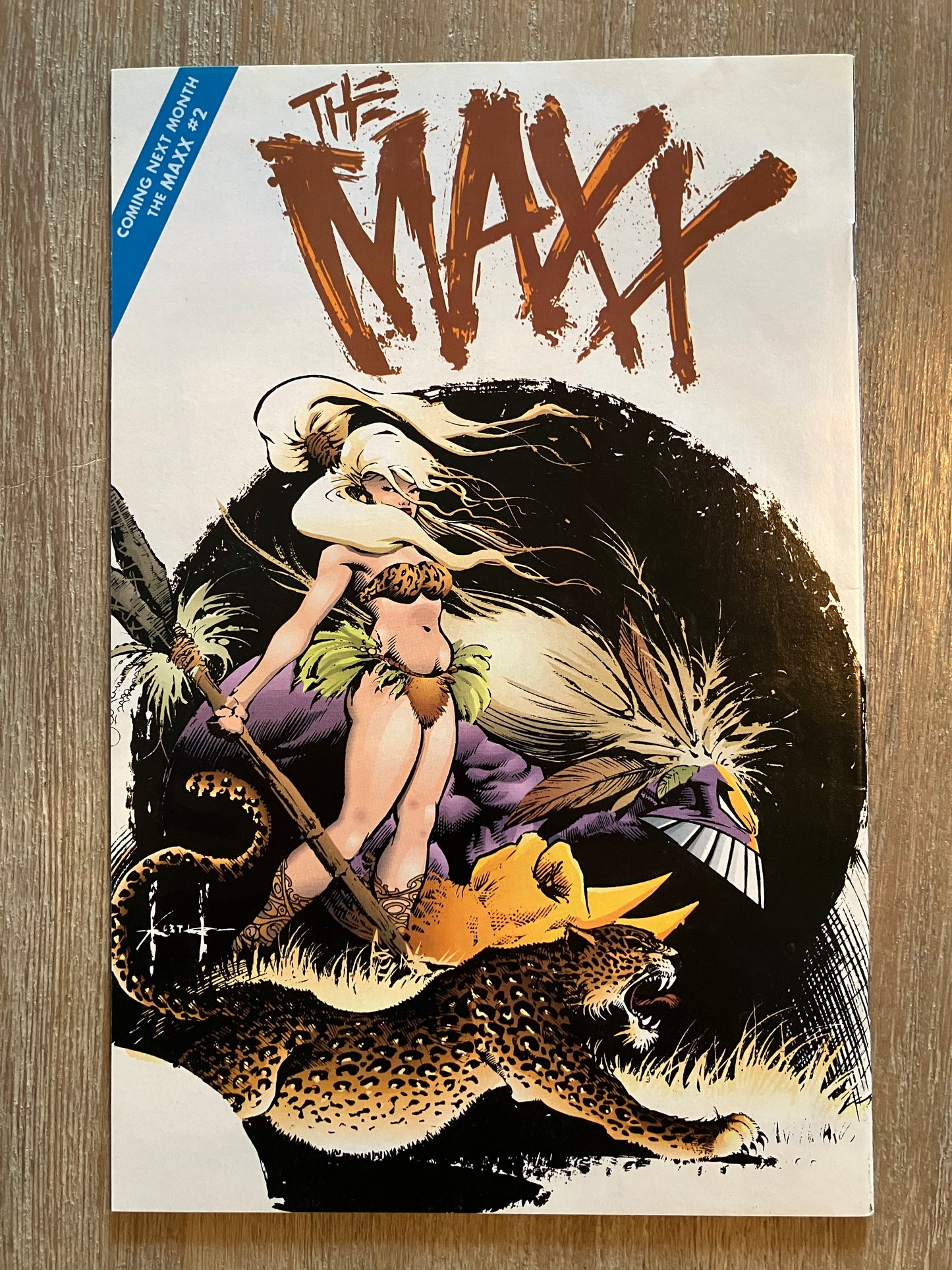 MAXX, THE #1 (Volume 1, 1993 - 1998)